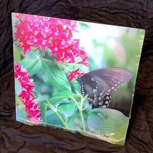 Butterflys Delight Signed Metal Photograph Print Art Wall Hanging